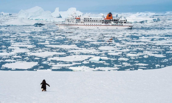 Entdeckungsreisen_MS_Arctic_BRE_Antarktis_Pinguin_01-1-570x342