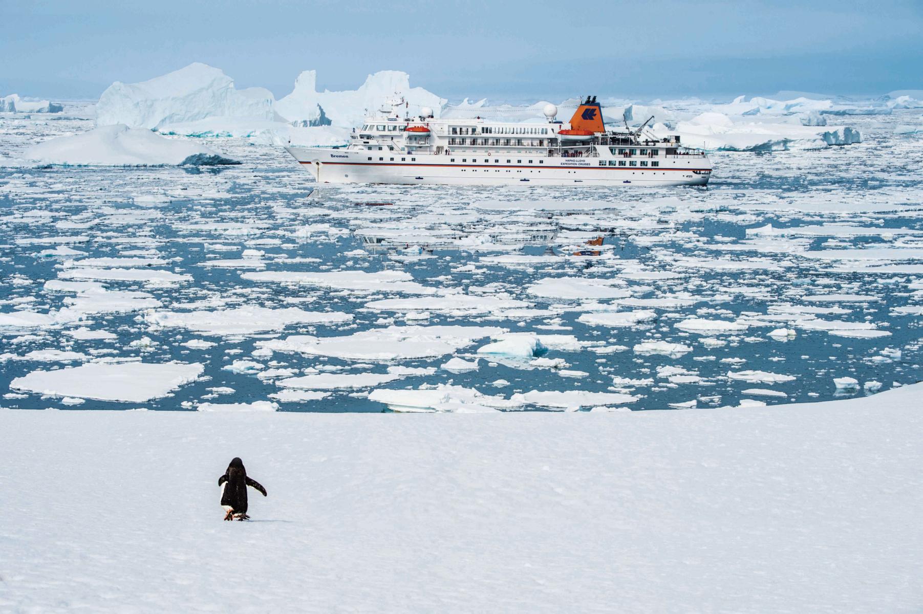 entdeckungsreisen_ms_arctic_bre_antarktis_pinguin_01