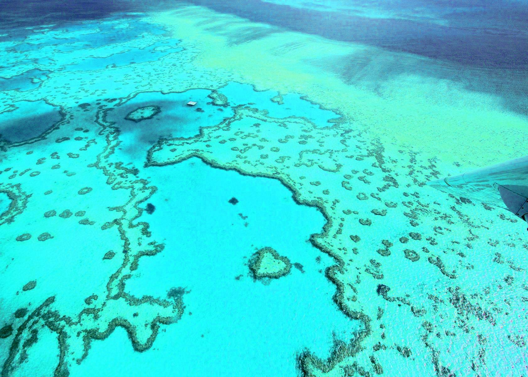 Kreuzflug-Hamilton-Island012-Grat-barrier-Reef